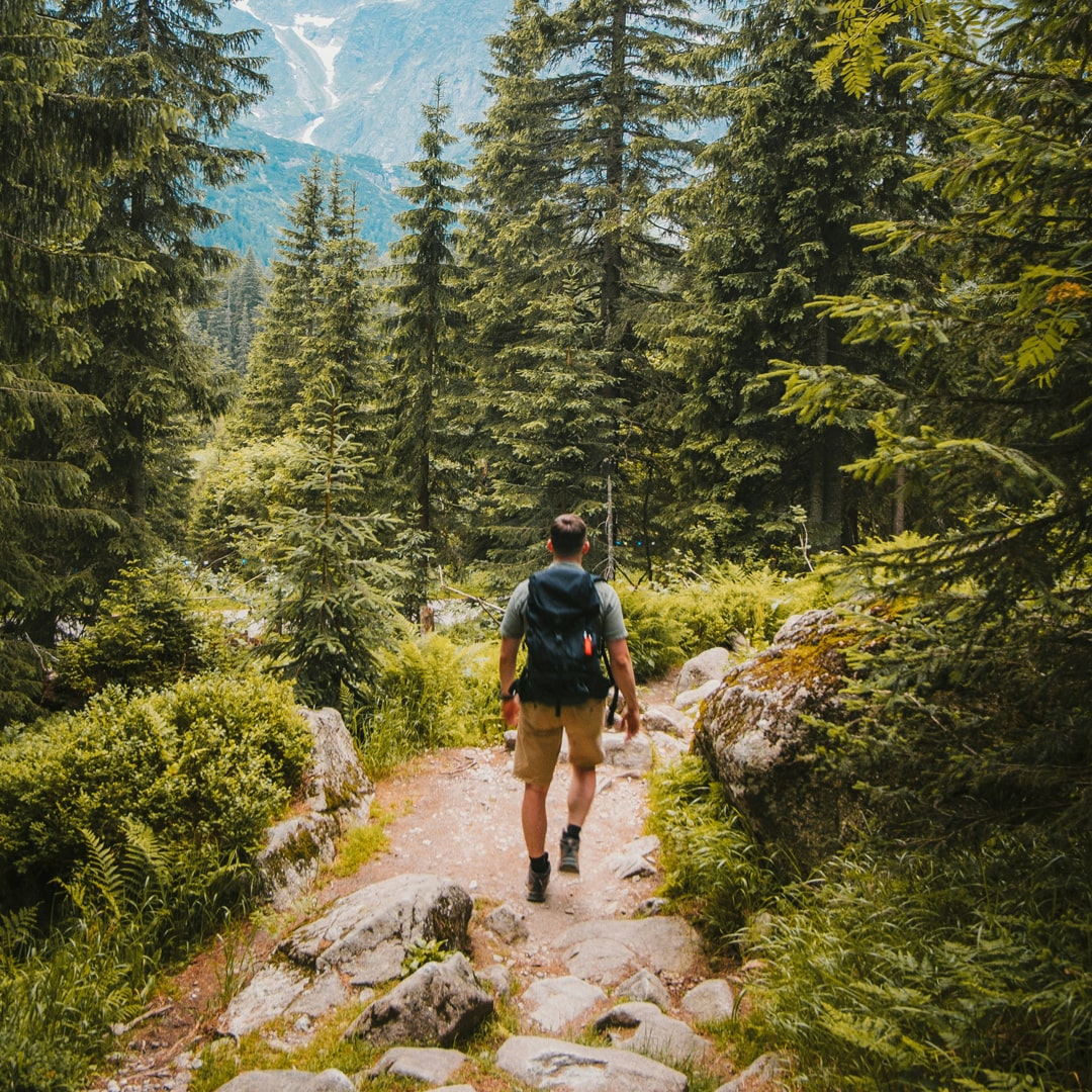 Essential Vitamins and Supplements for Travelers: Stay Energized, Healthy, and Balanced